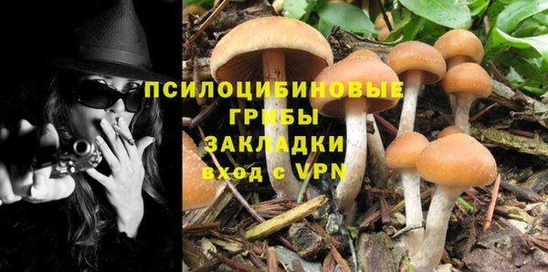 гашик Саяногорск