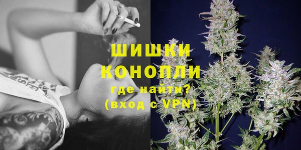 PSILOCYBIN Семёнов