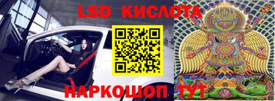 крисы Берёзовский