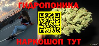 крисы Берёзовский