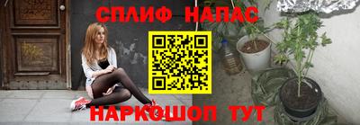 бошки Бийск